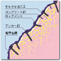 断面図